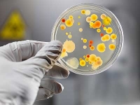 Edição XIII Doenças Virais e Bacterianas: Como se prevenir?