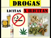 Edição XI - Drogas Lícitas e Ilícitas